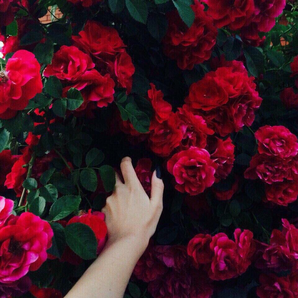 Я разбрасываю строки на бумаге.