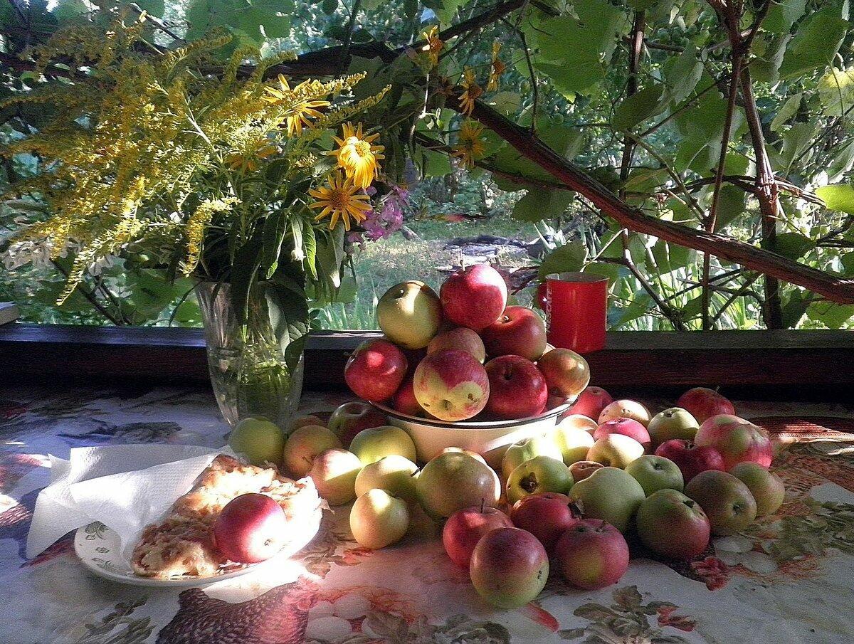Август пахнет яблоком печёным