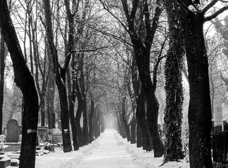 "Закрыть глаза так хочется..." (28.12.2018)