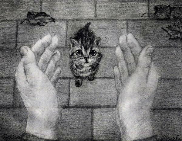 Бездомный котёнок.