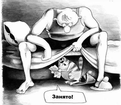 Любимчик кот