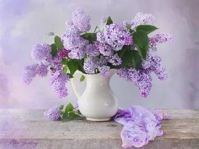 Любви завядшая сирень