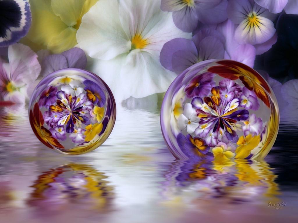 День рождения