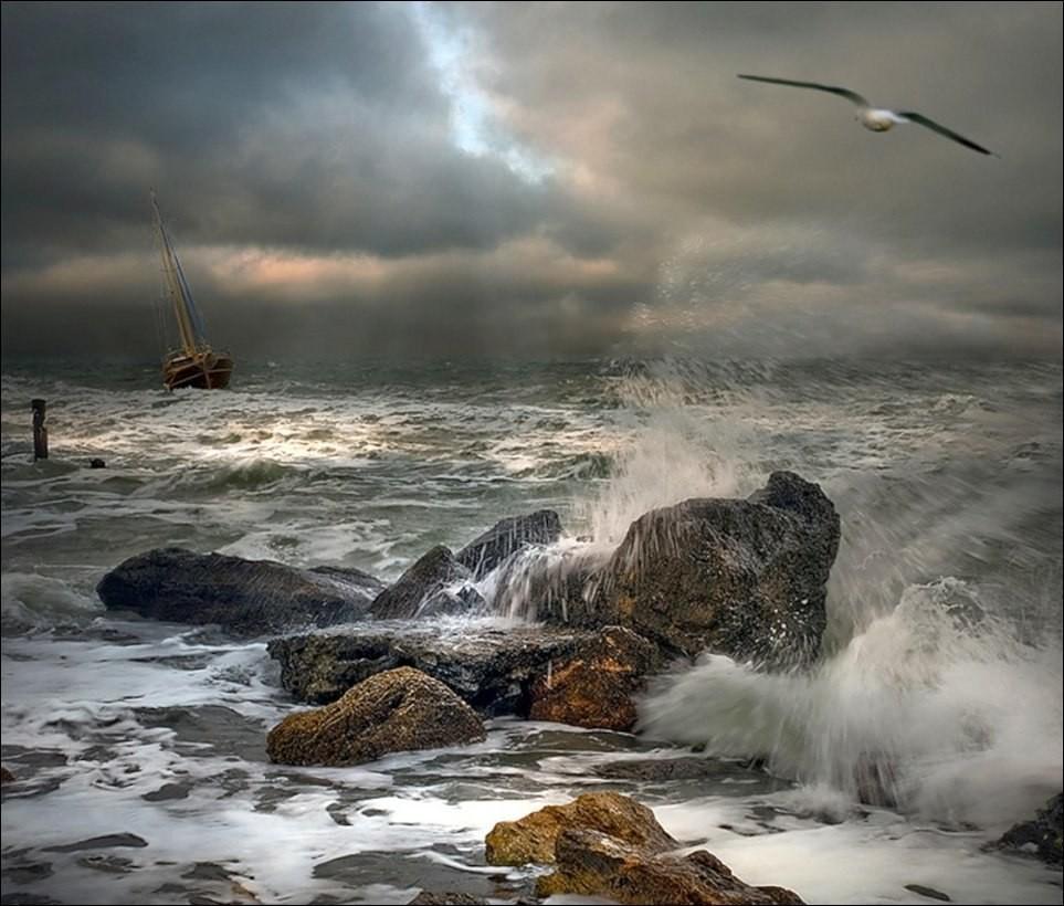 В душе ее вздымались волны. Буревестник в шторм. Море шторм. Бушующее море. Бушующее море и скалы.