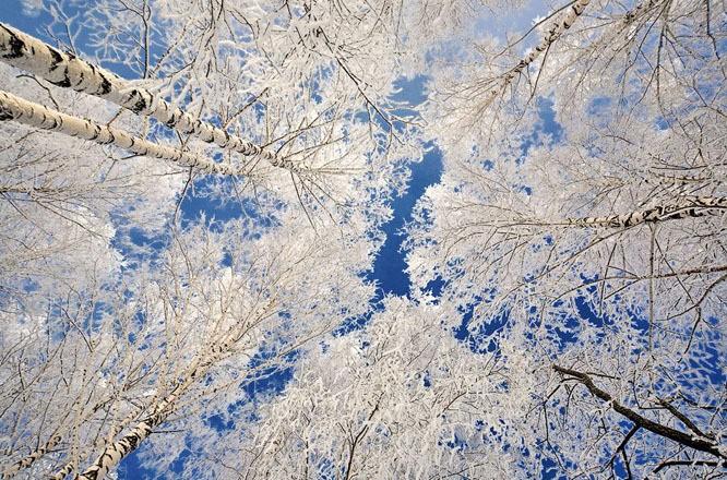 Южный берег