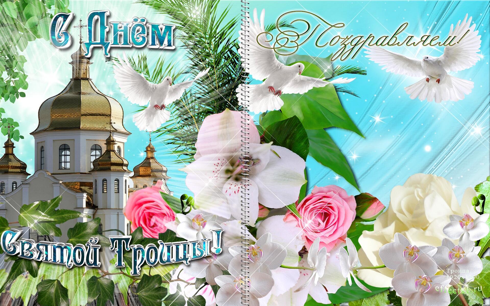 Жизни лёгкая поспешность...