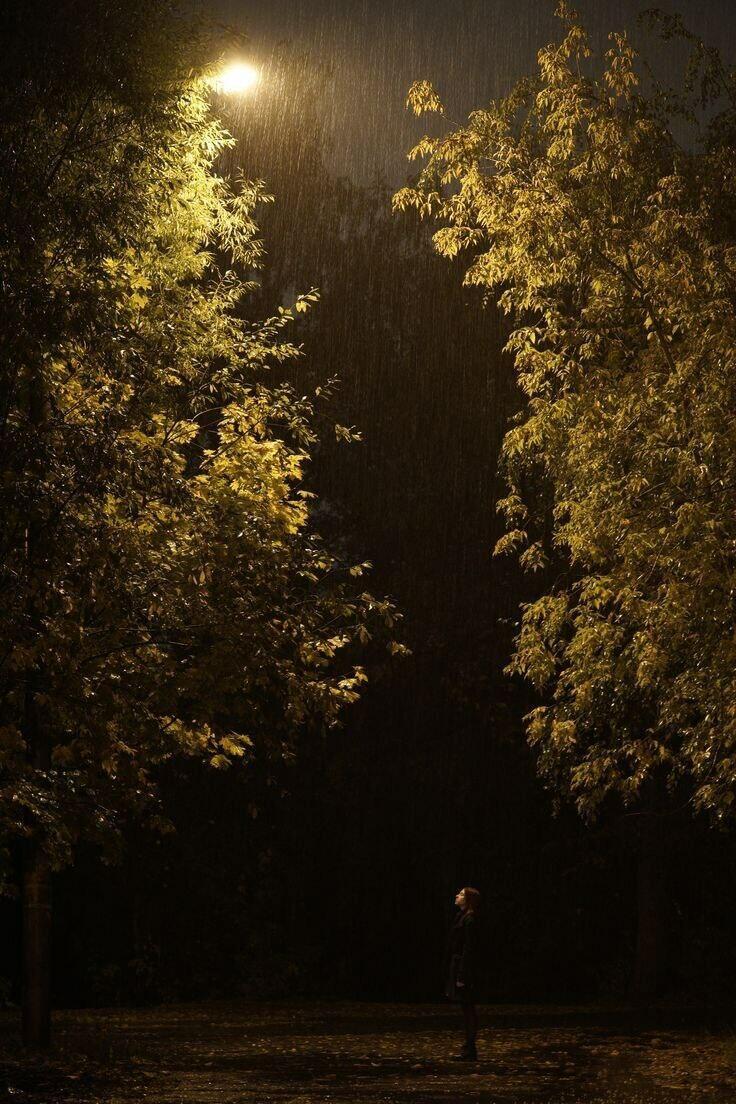 *** Надежда... Какое нелепое слово!...