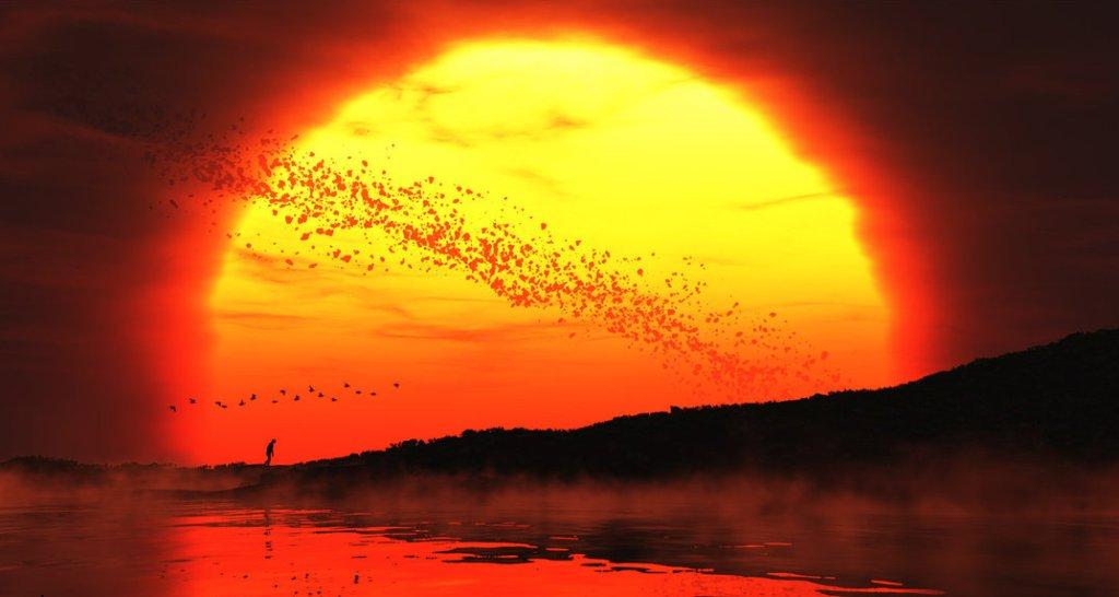 Солнце моё...