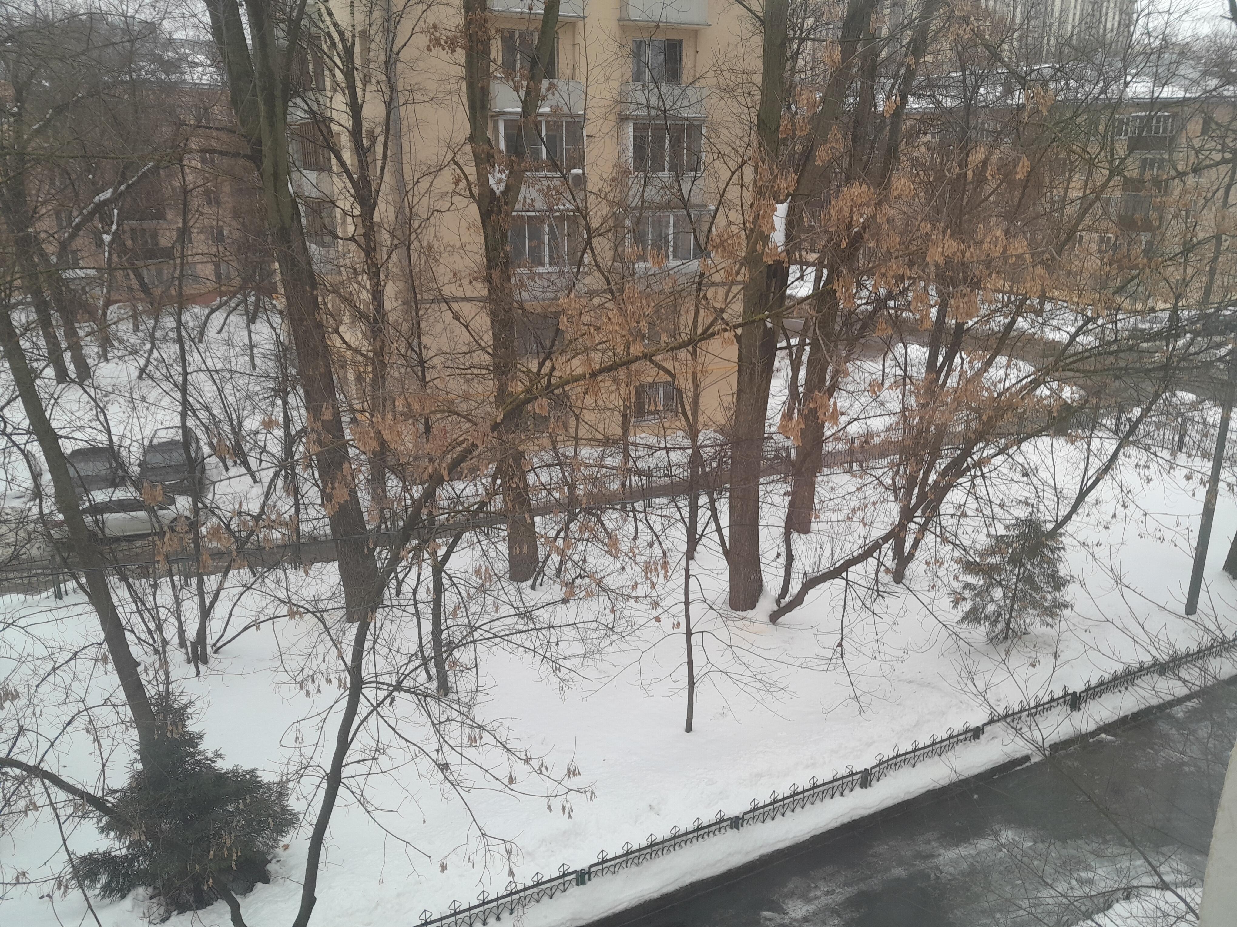 УТРЕННИЙ СПЛИН