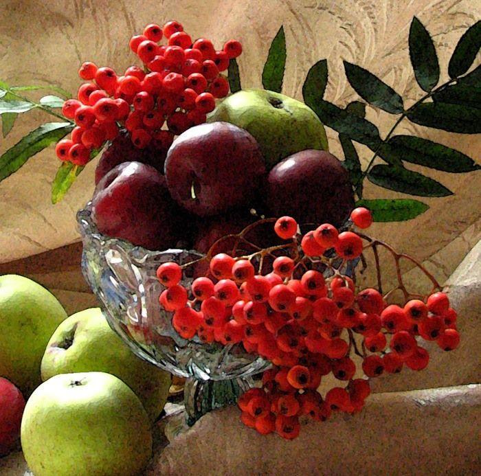 Венец трудам природы