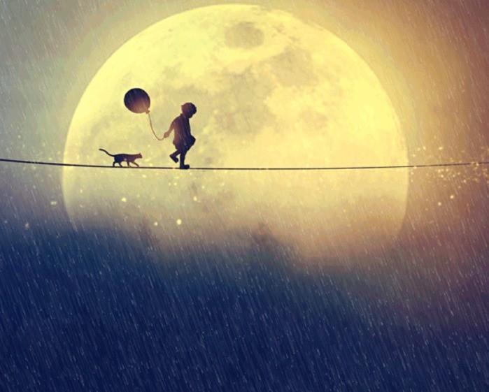 А жить на свете очень сложно....