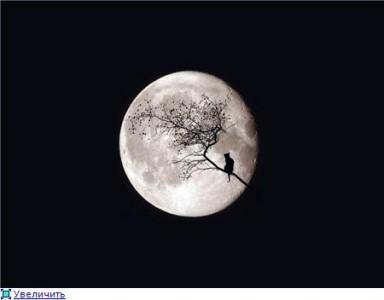 Одиночество