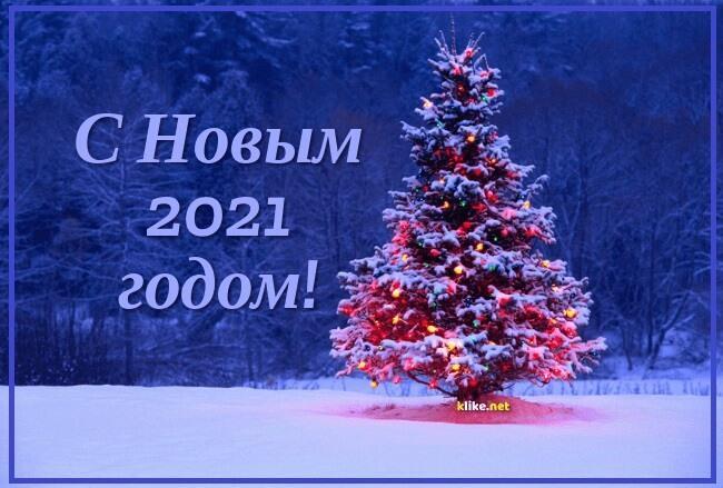 НОВОГОДНЕЕ ДЛЯ ВСЕХ!