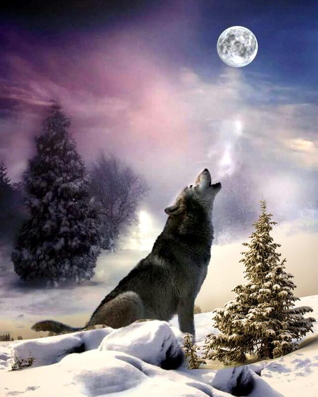 Волчий Новый год