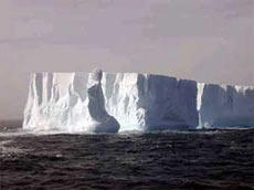 Дары  матушки  Земли