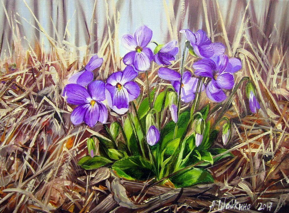 Там, где времени нет