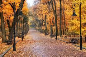 ОСЕННЕЕ СЕРОЕ