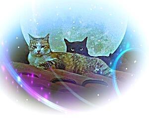 Большая честь