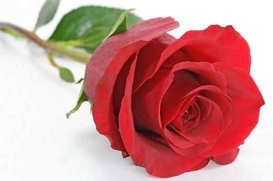 Вот,  и до нас дошло это письмо...