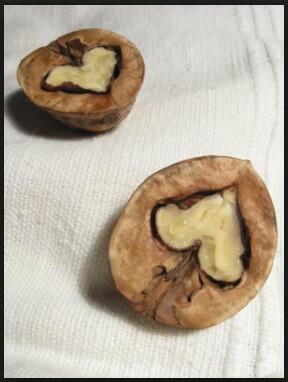 Любовь-орех