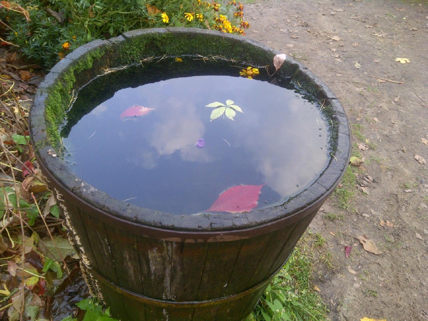 Горькое похмелье