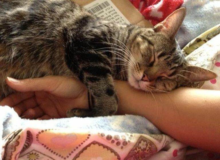 ВЕЧЕРНИЙ  МОЦИОН*