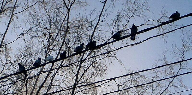 Зимние переливы