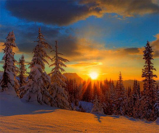 18 ЯНВАРЯ - КРЕЩЕНСКИЙ СОЧЕЛЬНИК