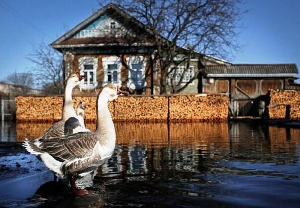 ДЕРЕВЕНСКИЕ КАРТИНКИ - ( река по улице )