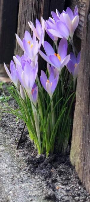 Глядела на февраль с грустинкой...