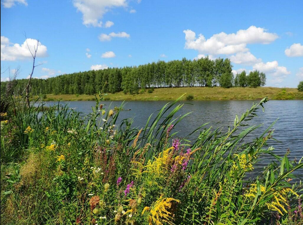 Фото-пейзаж Анатолия Иванова (г.Орёл)