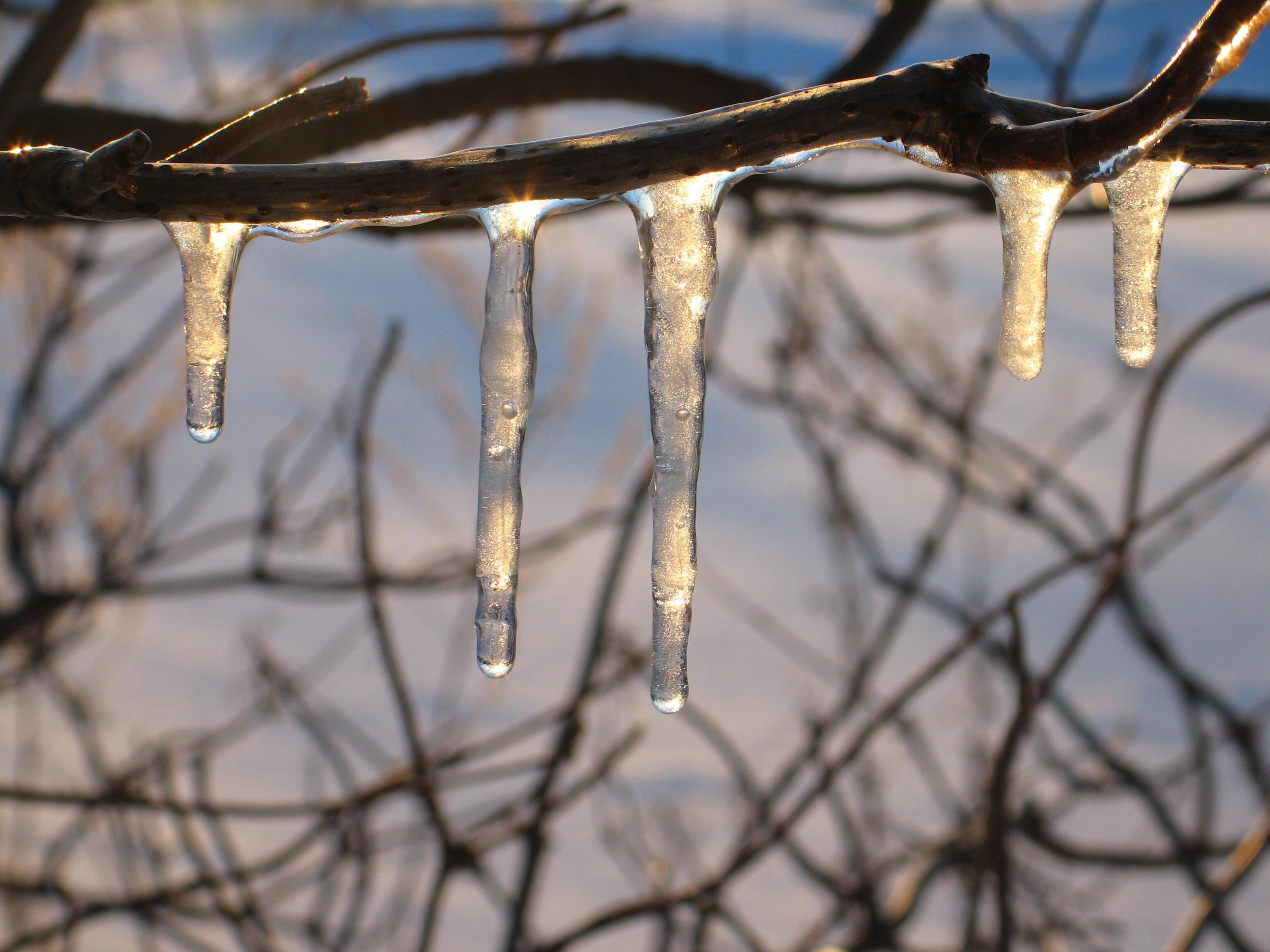 Преображение (мини-рассказ из 55 слов)