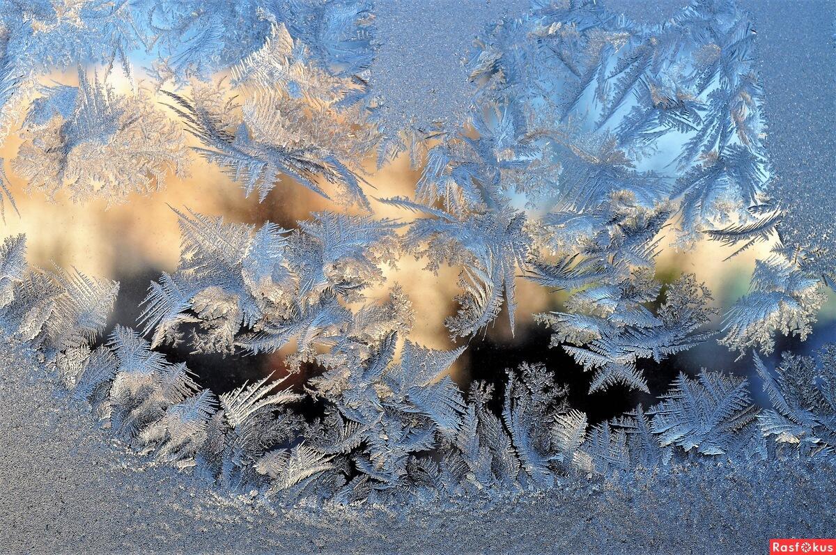 Ответ поэту - Медведь Белый - В КОТОРЫЙ РАЗ