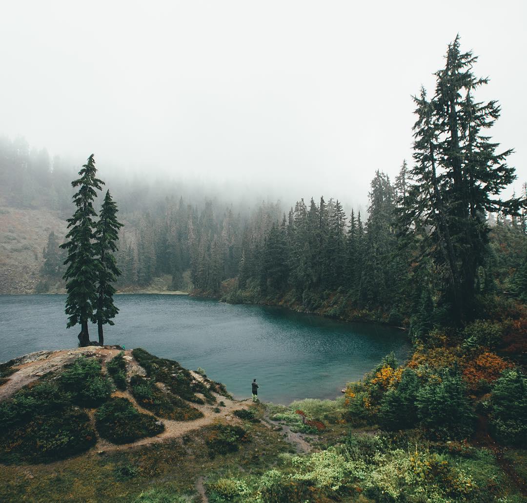 "В твоей жизни я не появлюсь..." (20.05.2018)