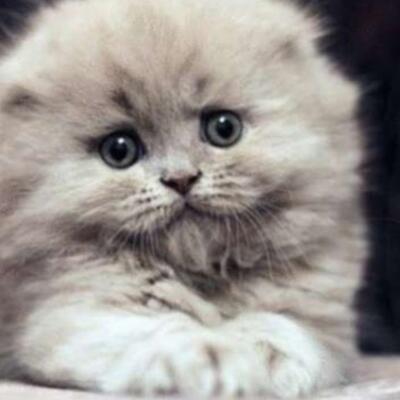 ❤️ ЭТО Я СЕЙЧАС ПРИТИХ . . .