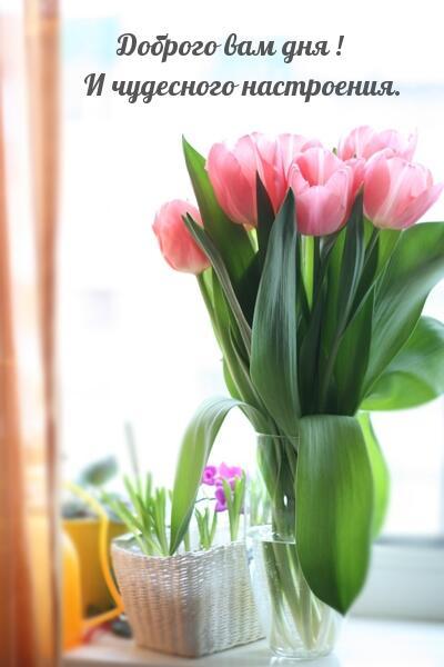 Холода совсем не хочется