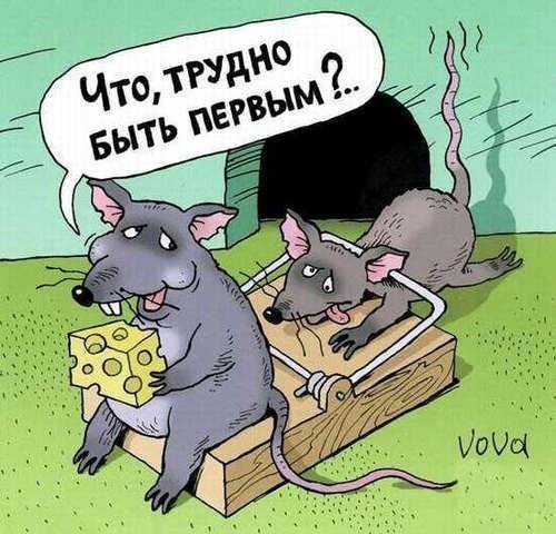 Не торопись