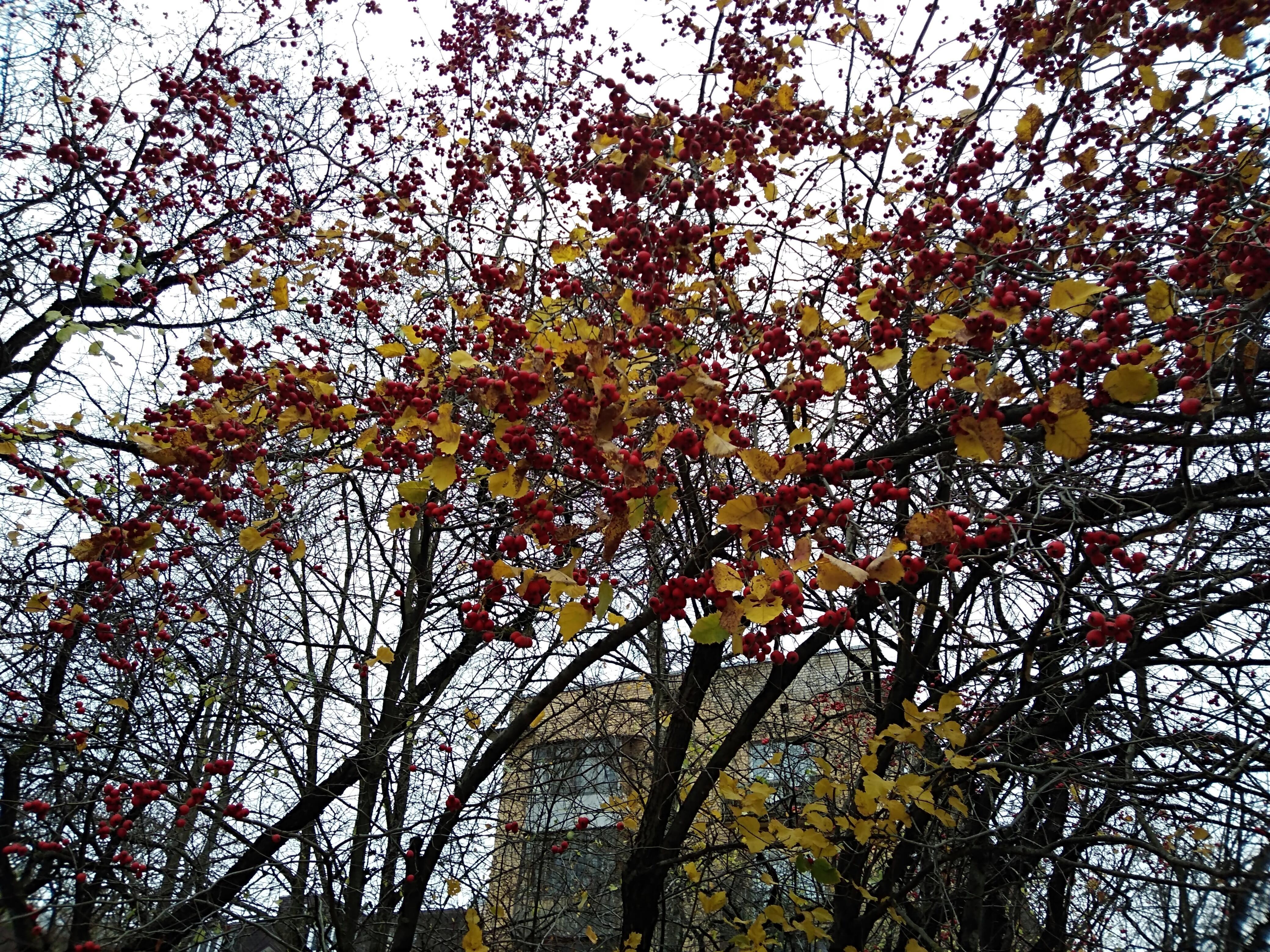 Ноябрь наступает