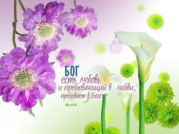 Божие лекарства от 21. 03. 2014г