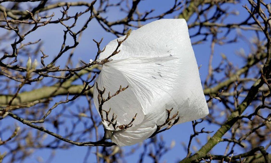 Пакет и шарик