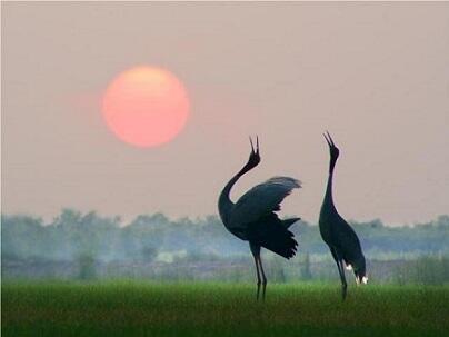 Осіння любов - укр. - с авторским переводом