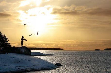 Эхо уносит крик души