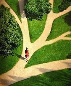 НАС ВЫБИРАЮТ