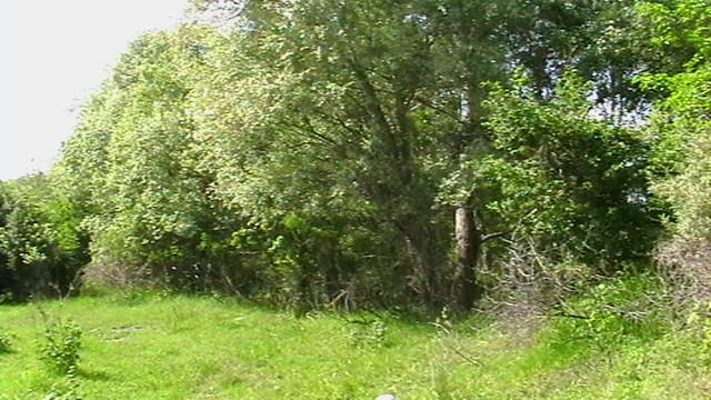 Сменяется по кругу время года.