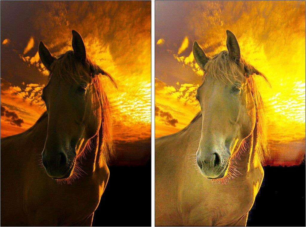 НАРИСУЮ Я ЛОШАДЕЙ ТАБУН