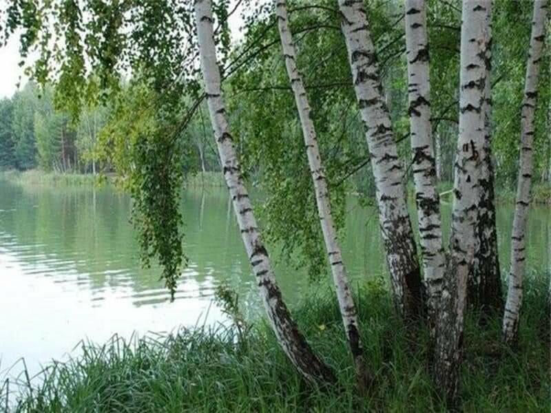 Мне дорог отчий дом