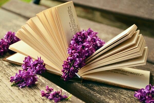 Звёзды, сирень, вечер