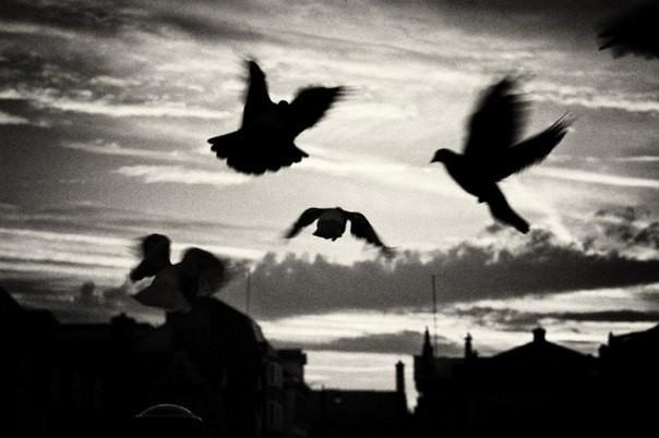 Наша жизнь полна разочарований