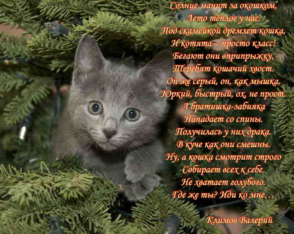 Солнце манит за окошком