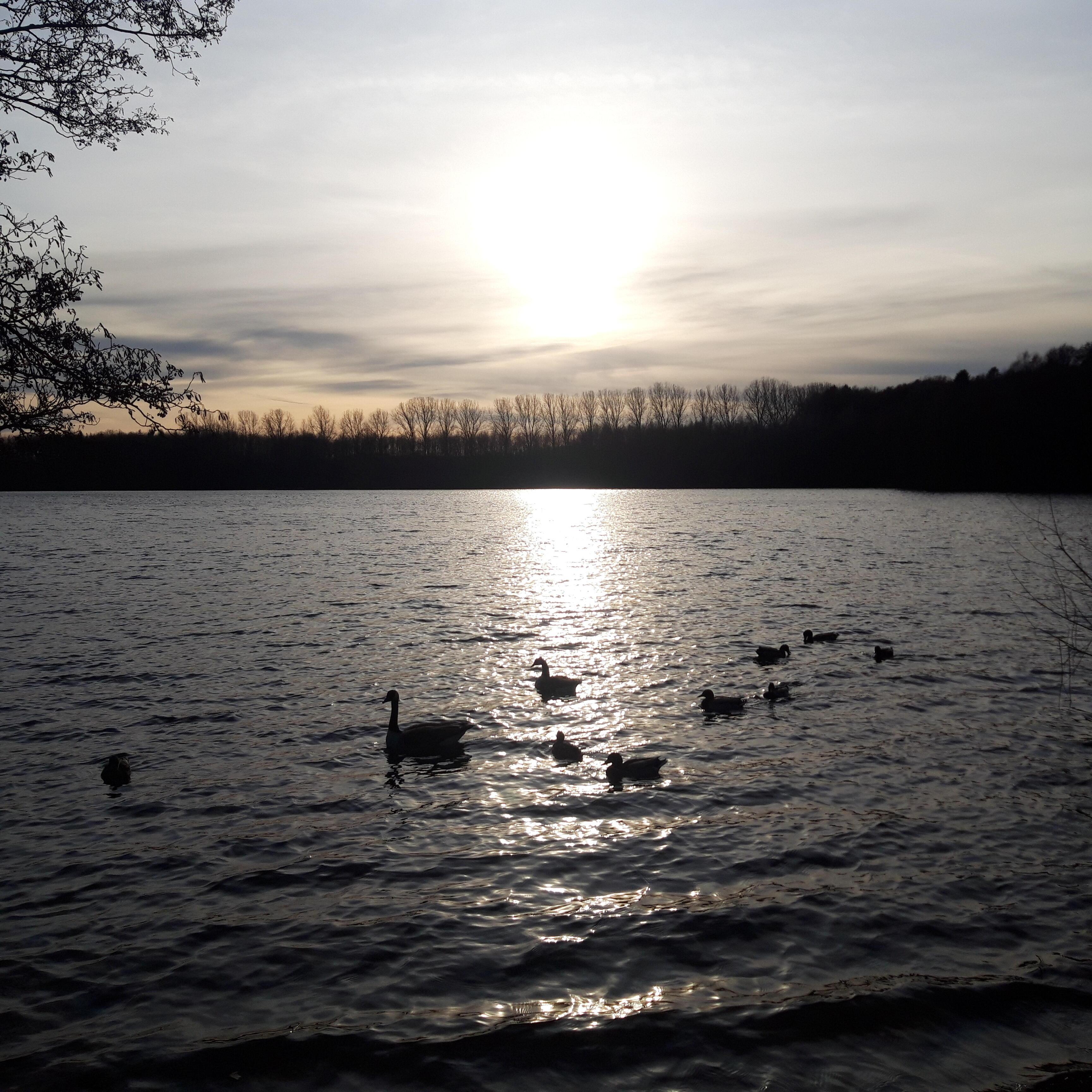 Мечты сбываются!